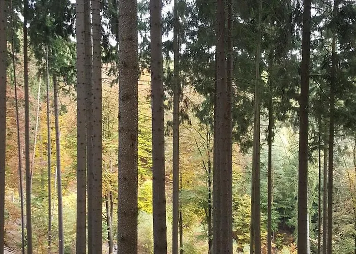 Schlossblick Apartment